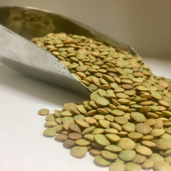 LENTEJA CASTELLANA ECO SACO 1/10Kg